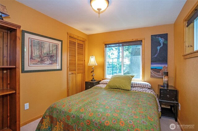 13285 Wye Lake Blvd SW, Port Orchard, WA 98367 - carpeted bedroom with baseboards and a closet