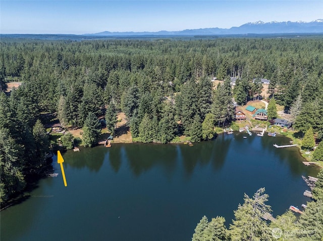 13285 Wye Lake Blvd SW, Port Orchard, WA 98367 - bird's eye view of a water and mountain view