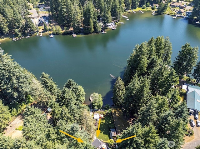 13285 Wye Lake Blvd SW, Port Orchard, WA 98367 - bird's eye view of a large body of water