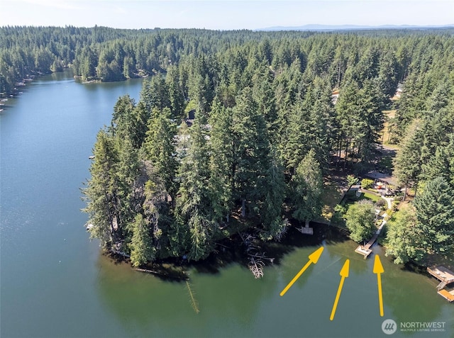 13285 Wye Lake Blvd SW, Port Orchard, WA 98367 - aerial view of a forest and a nearby body of water