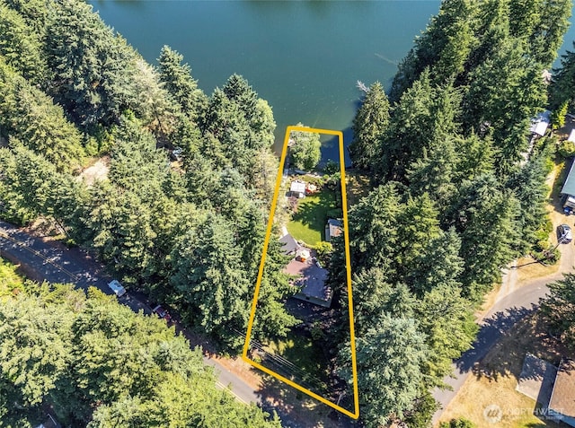 13285 Wye Lake Blvd SW, Port Orchard, WA 98367 - view of property location with property boundaries highlighted