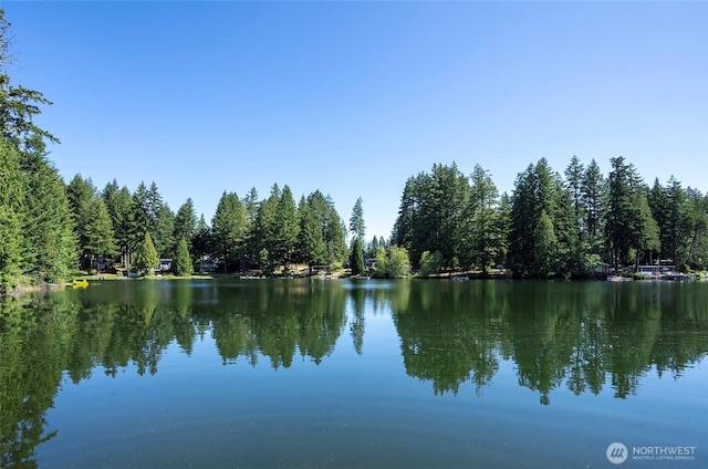 13285 Wye Lake Blvd SW, Port Orchard, WA 98367 - water view