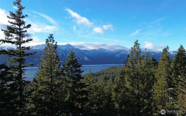 0 Lakeview Dr, Ronald, WA 98940 - photo 1