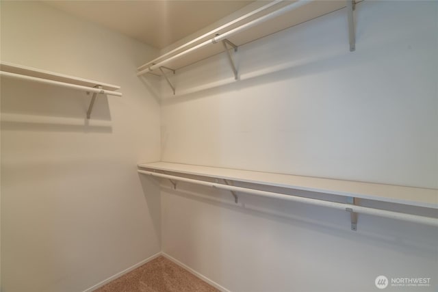 11627 NE 75th St, Kirkland, WA 98033 - spacious closet with carpet floors