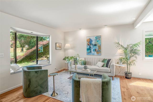 11627 NE 75th St, Kirkland, WA 98033 - living room featuring baseboards and wood finished floors