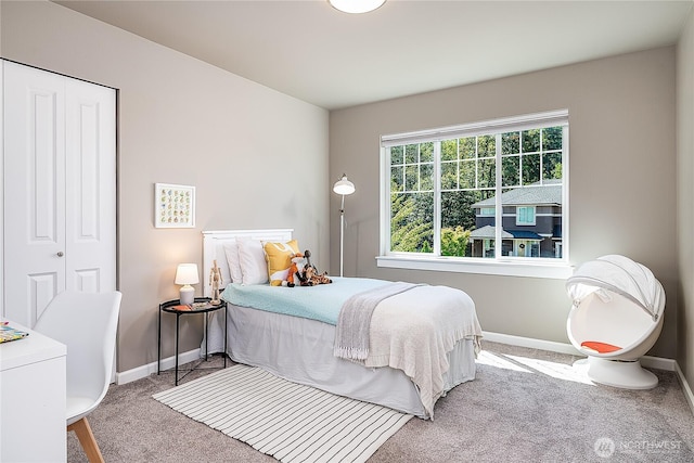 8005 134th Street Ct E, Puyallup, WA 98373 - photo 19