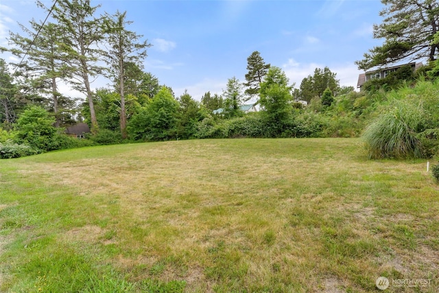0 Park Ave, Ocean Park, WA 98640