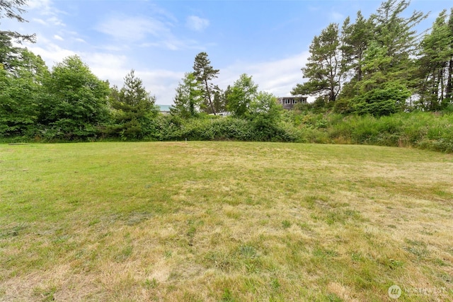 0 Park Ave, Ocean Park, WA 98640