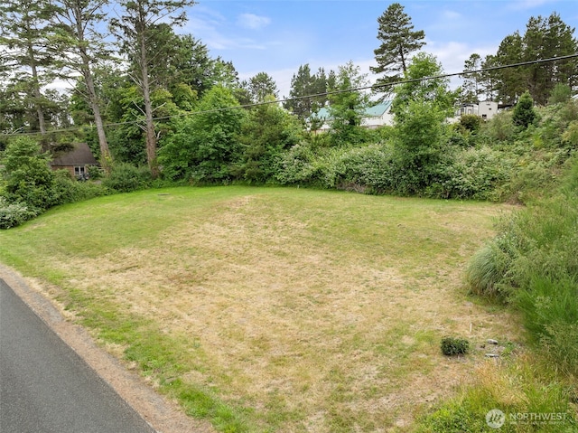0 Park Ave, Ocean Park, WA 98640