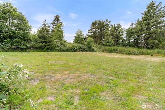 0 Park Ave, Ocean Park, WA 98640