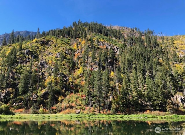 9327 E Leavenworth Rd, Leavenworth, WA 98826 - view of mountain background with a heavily wooded area and a nearby body of water