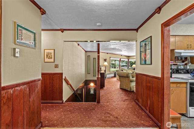 9327 E Leavenworth Rd, Leavenworth, WA 98826 - corridor featuring a wainscoted wall, crown molding, wooden walls, a textured ceiling, and carpet flooring