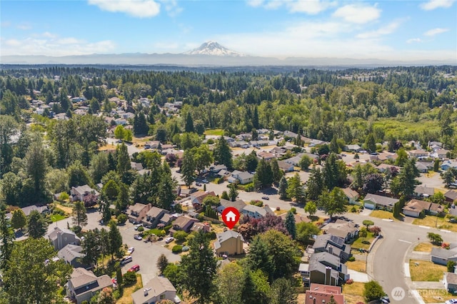 1617 SW 324th Pl, Federal Way, WA 98023 - aerial view of residential area with a heavily wooded area and mountains