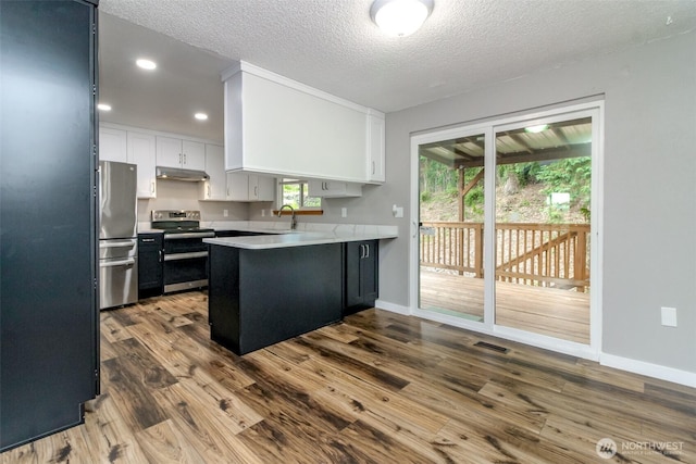 416 142nd Street Ct S, Tacoma, WA 98444 - kitchen with stainless steel appliances, a peninsula, under cabinet range hood, light countertops, and a textured ceiling
