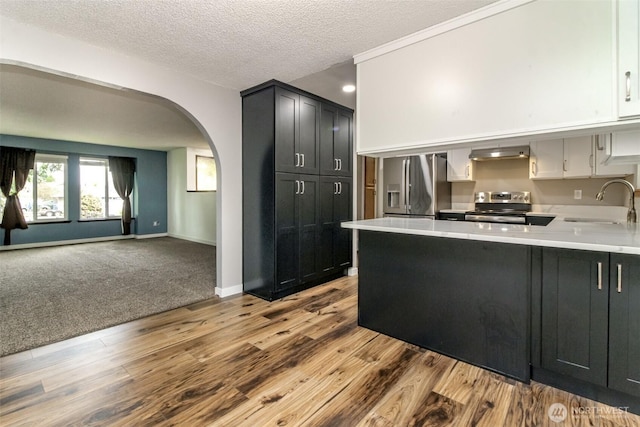 416 142nd Street Ct S, Tacoma, WA 98444 - kitchen with stainless steel appliances, under cabinet range hood, arched walkways, a peninsula, and light countertops