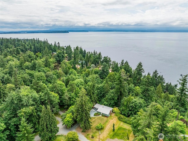 6294 Neupert Rd, Freeland, WA 98249 - photo 25