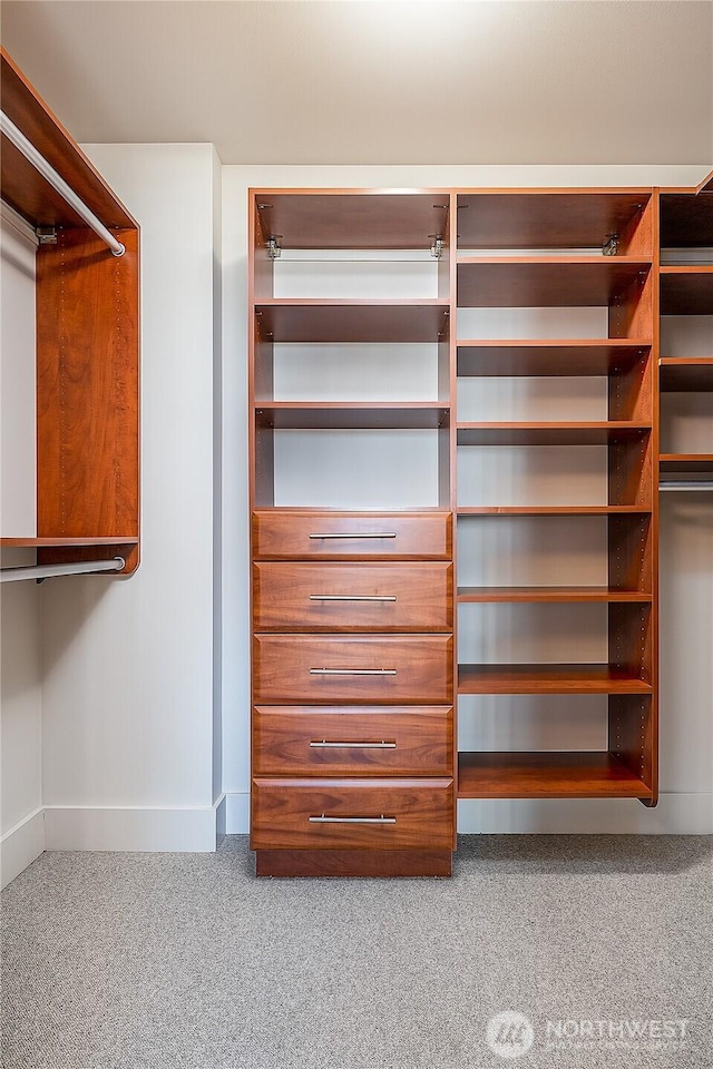 2121 Terry Ave Unit 1402, Seattle, WA 98121 - spacious closet with carpet floors