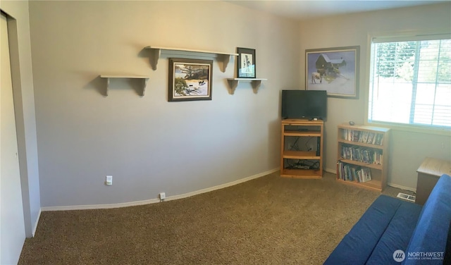 20110 Rainey Ln SW, Rochester, WA 98579 - photo 32