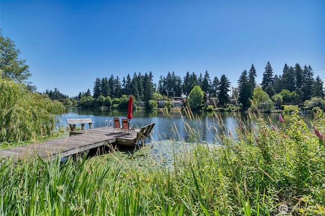 19524 Echo Lake Pl N Unit A-402, Shoreline, WA 98133 - dock with a water view