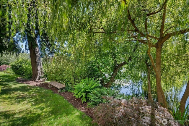 19524 Echo Lake Pl N Unit A-402, Shoreline, WA 98133 - view of green lawn