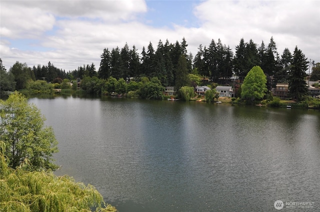 19524 Echo Lake Pl N Unit A-402, Shoreline, WA 98133 - water view