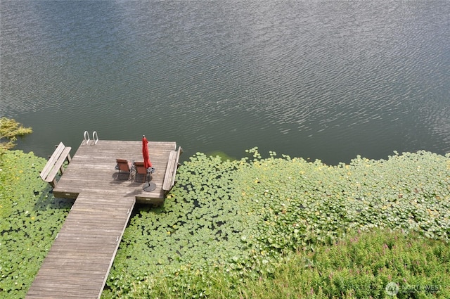 19524 Echo Lake Pl N Unit A-402, Shoreline, WA 98133 - dock area featuring a water view