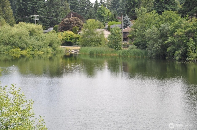 19524 Echo Lake Pl N Unit A-402, Shoreline, WA 98133 - water view