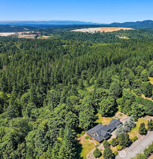 17811 244th Ave SE, Maple Valley, WA 98038 - photo 3