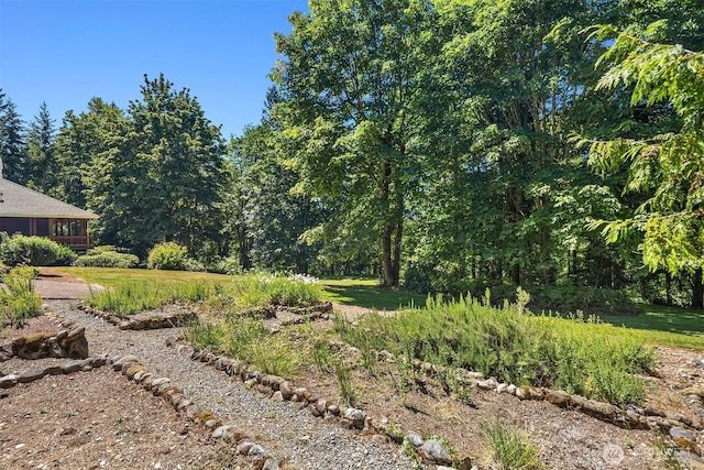 17811 244th Ave SE, Maple Valley, WA 98038 - photo 38