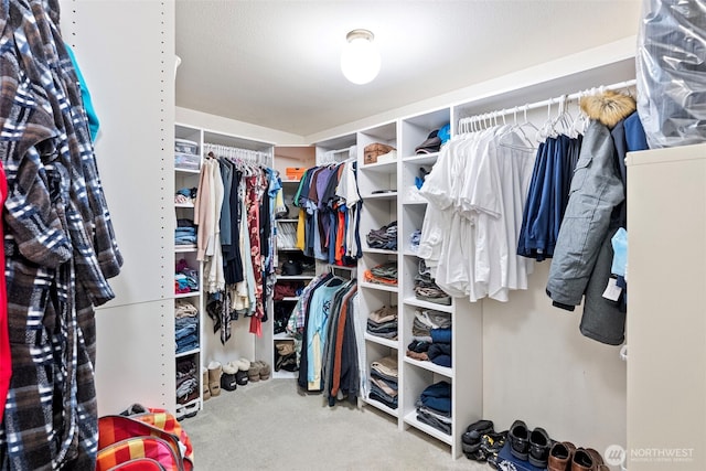 2815 60th Street Ct NW, Gig Harbor, WA 98335 - spacious closet with carpet