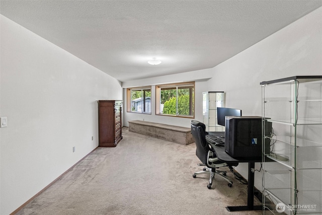 2815 60th Street Ct NW, Gig Harbor, WA 98335 - home office with carpet and a textured ceiling