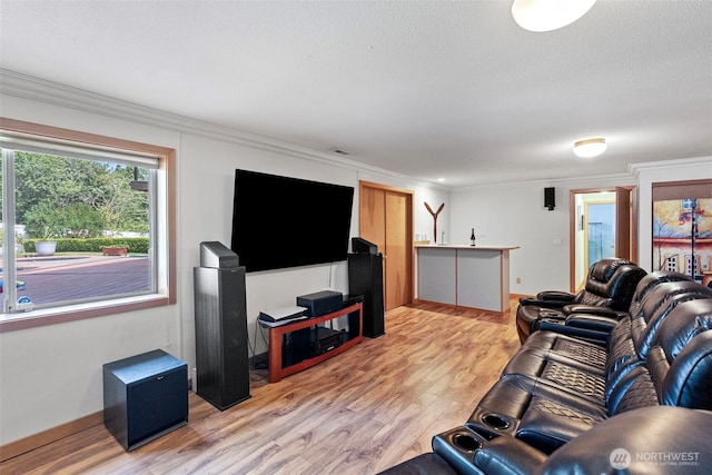 2815 60th Street Ct NW, Gig Harbor, WA 98335 - living room with light wood-style flooring, crown molding, and a textured ceiling