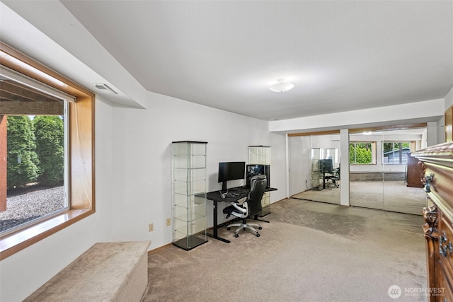2815 60th Street Ct NW, Gig Harbor, WA 98335 - view of carpeted office space