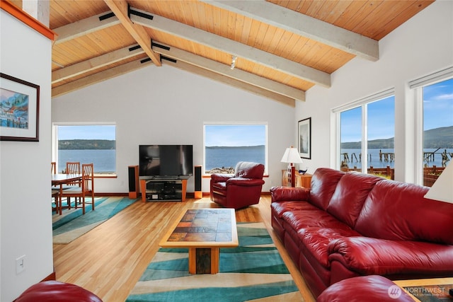 451 Beach Dr, Sequim, WA 98382 - living room featuring plenty of natural light, wood finished floors, and wood ceiling