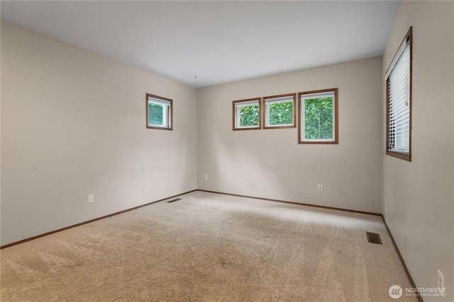 8421 374th Pl SE, Snoqualmie, WA 98065 - photo 22