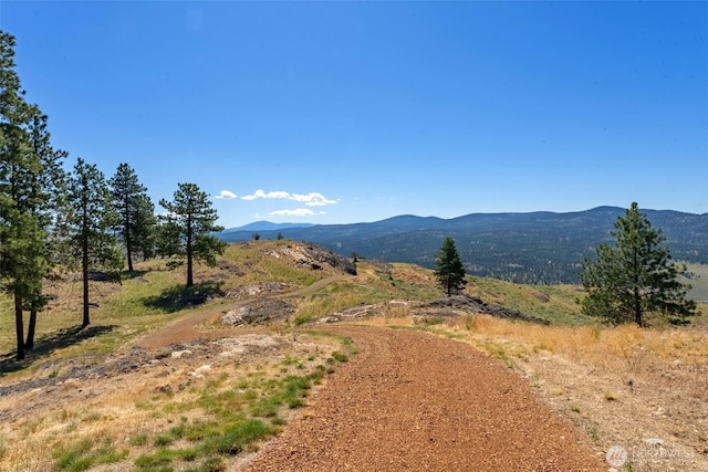 121 Point Dr, Oroville, WA 98844 - photo 34