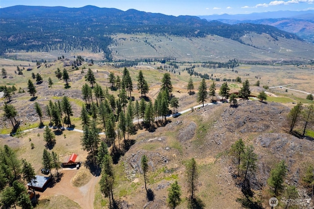 121 Point Dr, Oroville, WA 98844 - photo 28
