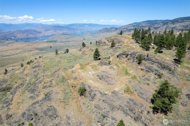 121 Point Dr, Oroville, WA 98844 - photo 38