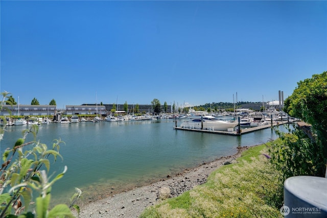 1515 Dock St Unit 306, Tacoma, WA 98402 - photo 38