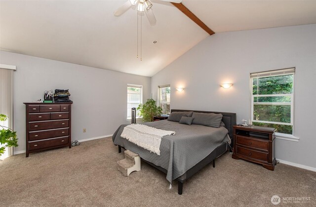 60 Woodridge Dr, Sequim, WA 98382 - photo 20
