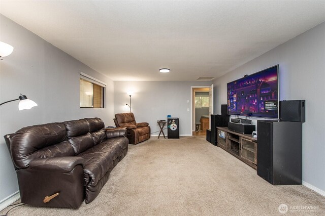60 Woodridge Dr, Sequim, WA 98382 - photo 27