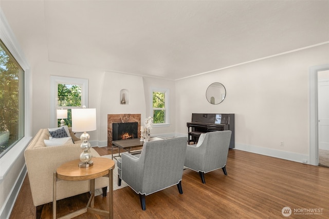 5803 Latona Ave NE, Seattle, WA 98105 - living room with a high end fireplace, wood finished floors, and healthy amount of natural light
