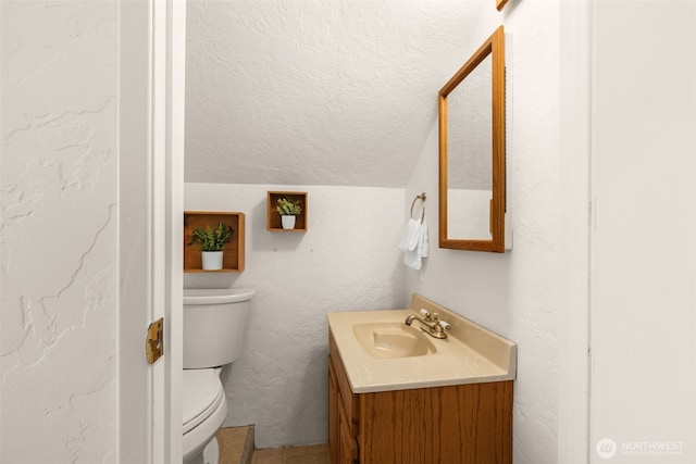5803 Latona Ave NE, Seattle, WA 98105 - bathroom with vanity, a textured ceiling, and lofted ceiling