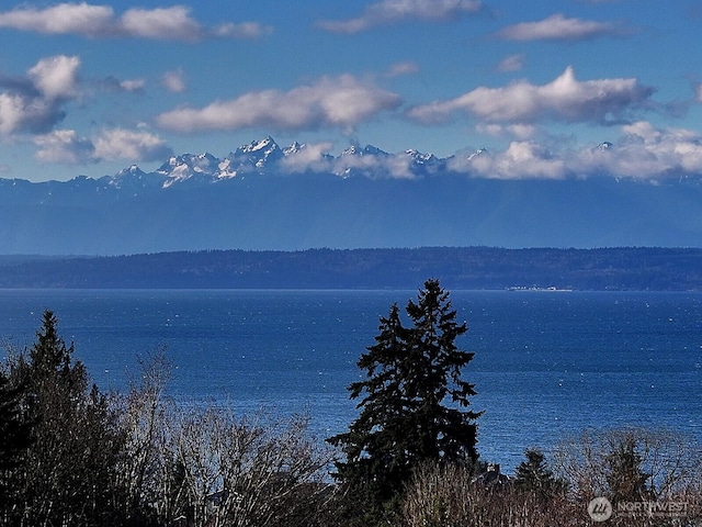 1491 Olympic Heights Ln, Freeland, WA 98249 - photo 3