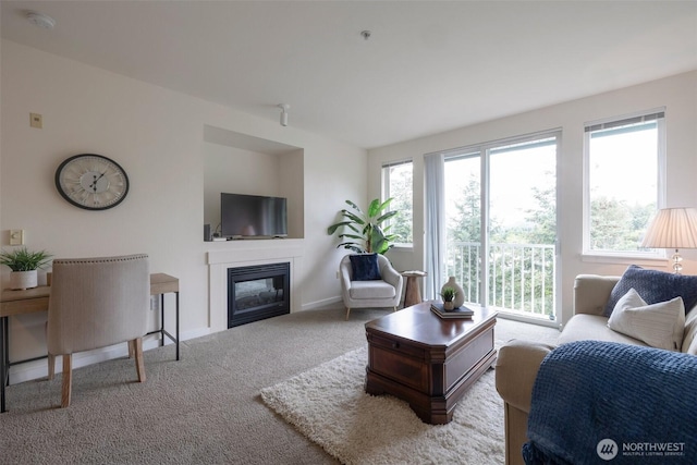 13301 SE 79th Pl Unit B-402, Newcastle, WA 98059 - living area featuring a glass covered fireplace and carpet flooring
