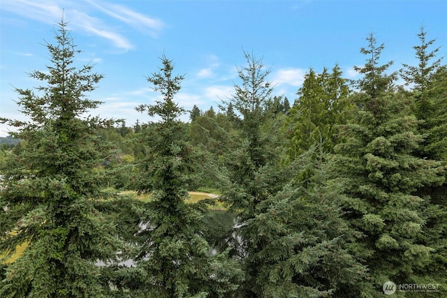 13301 SE 79th Pl Unit B-402, Newcastle, WA 98059 - view of woods
