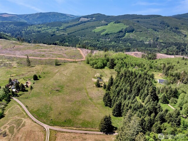 0 Little Kalama River Rd, Woodland, WA 98674 - photo 3