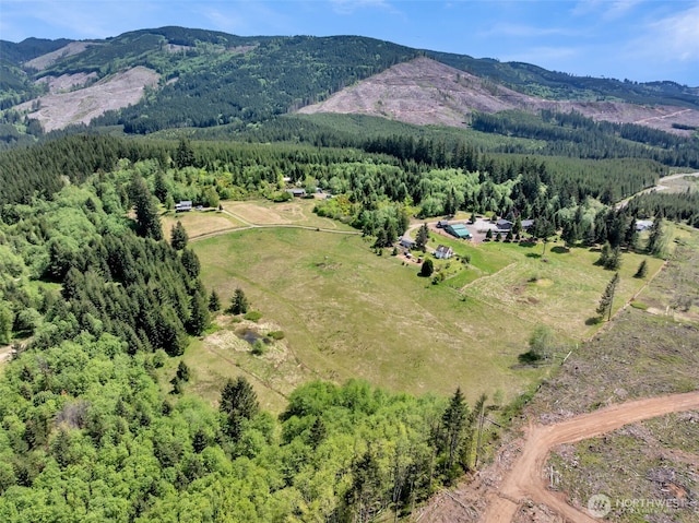 0 Little Kalama River Rd, Woodland, WA 98674 - photo 13