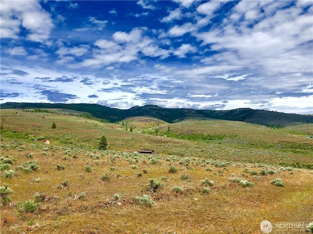 1 Colockum Rd, Ellensburg, WA 98926 - photo 19