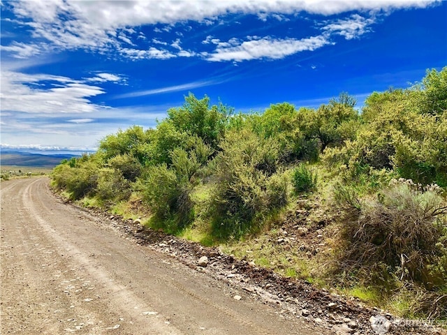 1 Colockum Rd, Ellensburg, WA 98926 - photo 24